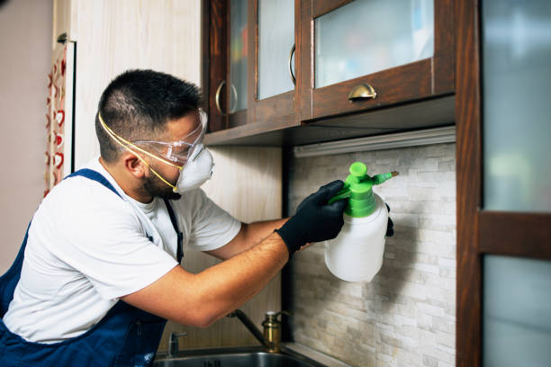 Best Pest Removal Services  in Hornsby Bend, TX