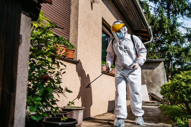 Best Residential Pest Control  in Hornsby Bend, TX