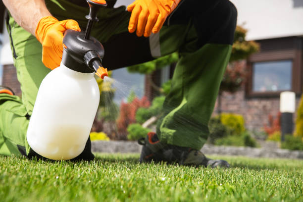 Best Ant Control Services  in Hornsby Bend, TX