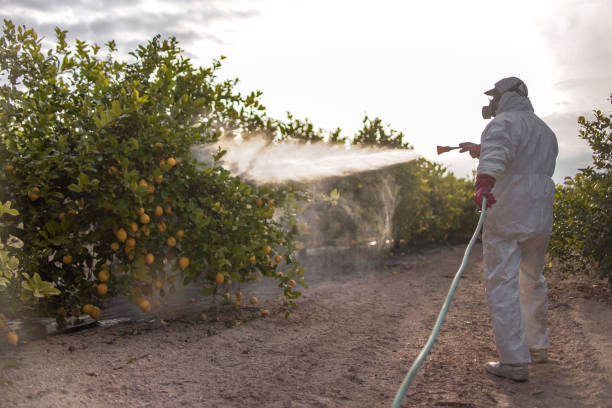 Pest Prevention Services in Hornsby Bend, TX
